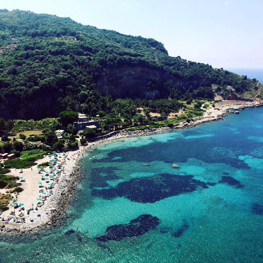 8d1e57aa-8aae-420f-aba1-7354b1d467f1