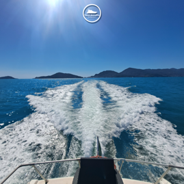 bfc397f0-6196-4284-a1d2-917301f833b9