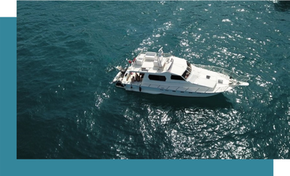 9eade950-b124-4771-961b-77050f6ad18f