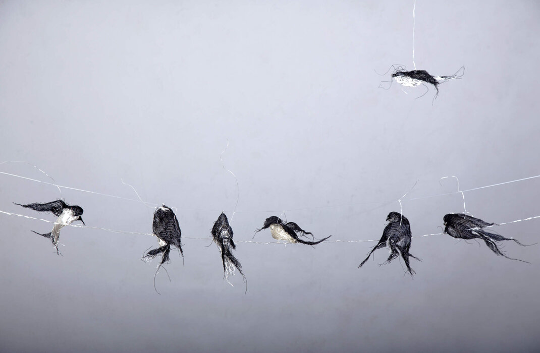 02ffa92c-e0e9-4b08-ba38-ad790edeac00