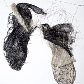 Nido di Rondine anno 2015