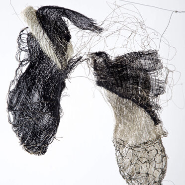 Nido di Rondine anno 2015