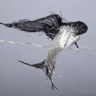 Le Rondini anno 2008-2015 - Foto by Guido Fassio