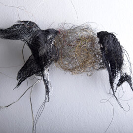 Le Rondini anno 2008-2015 - Foto by Guido Fassio