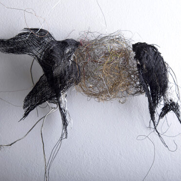 Le Rondini anno 2008-2015 - Foto by Guido Fassio