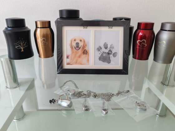 be64dca3-678d-440a-afd0-1e71ea71e8ce be64dca3-678d-440a-afd0-1e71ea71e8ce