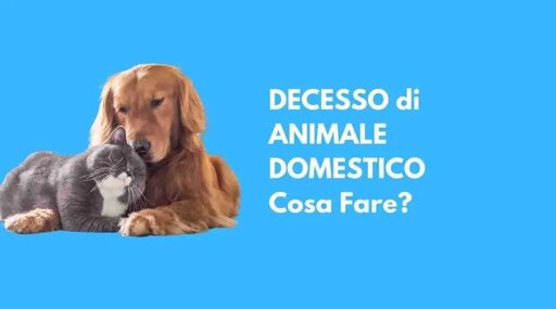 c8f5ff8b-783a-458f-933d-9ea1b03f2911.jpeg c8f5ff8b-783a-458f-933d-9ea1b03f2911.jpeg