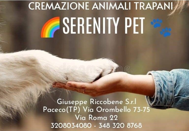 cf78d08d-ad3f-4242-b68d-df35005b8899 cf78d08d-ad3f-4242-b68d-df35005b8899