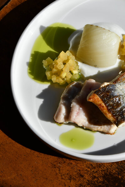 Salmerino, finocchio, mela verde, yogurt, olio al finocchietto Salmerino, finocchio, mela verde, yogurt, olio al finocchietto