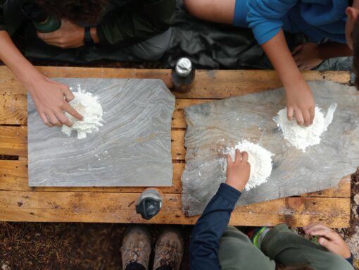 img20250707132521.jpeg img20250707132521.jpeg