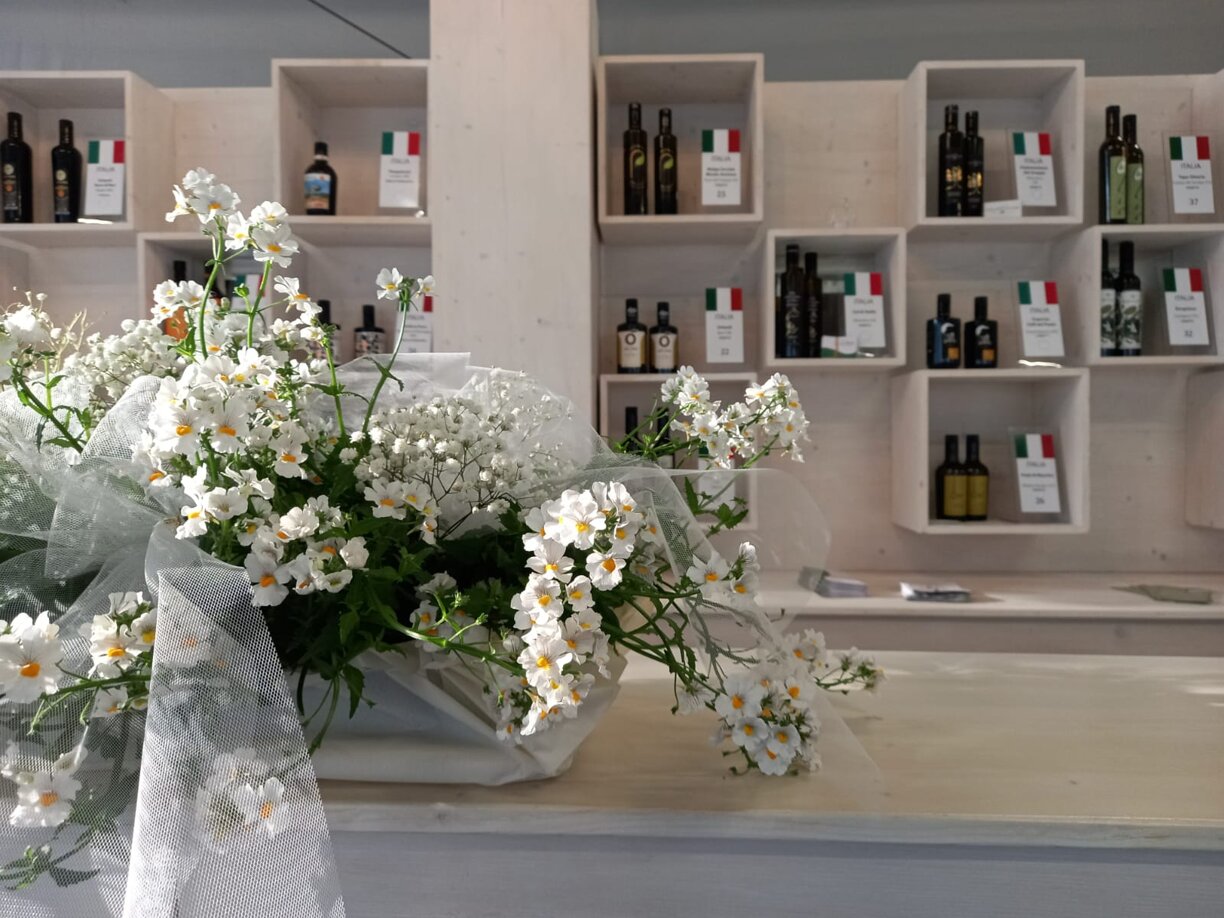 715e0c82-a151-430a-8a01-fc34f754a239.jpeg 715e0c82-a151-430a-8a01-fc34f754a239.jpeg