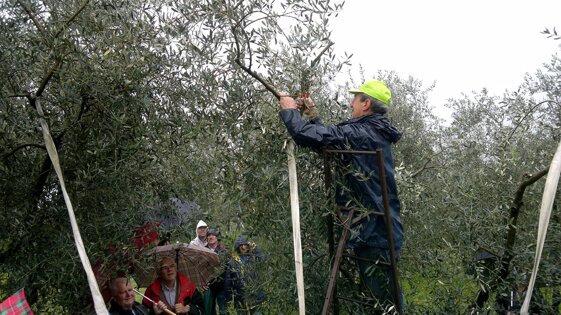 7a71df0f-c1a1-492c-94c5-4499d4baa739 7a71df0f-c1a1-492c-94c5-4499d4baa739