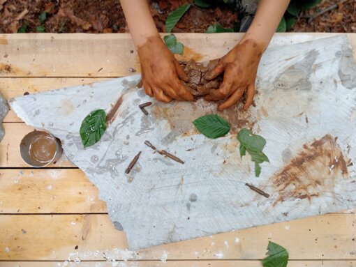 img20250623155126.jpeg img20250623155126.jpeg