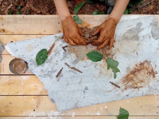 img20250623155126.jpeg img20250623155126.jpeg