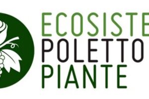 a3c5618e-661c-492c-9ea9-04f6da8312c4