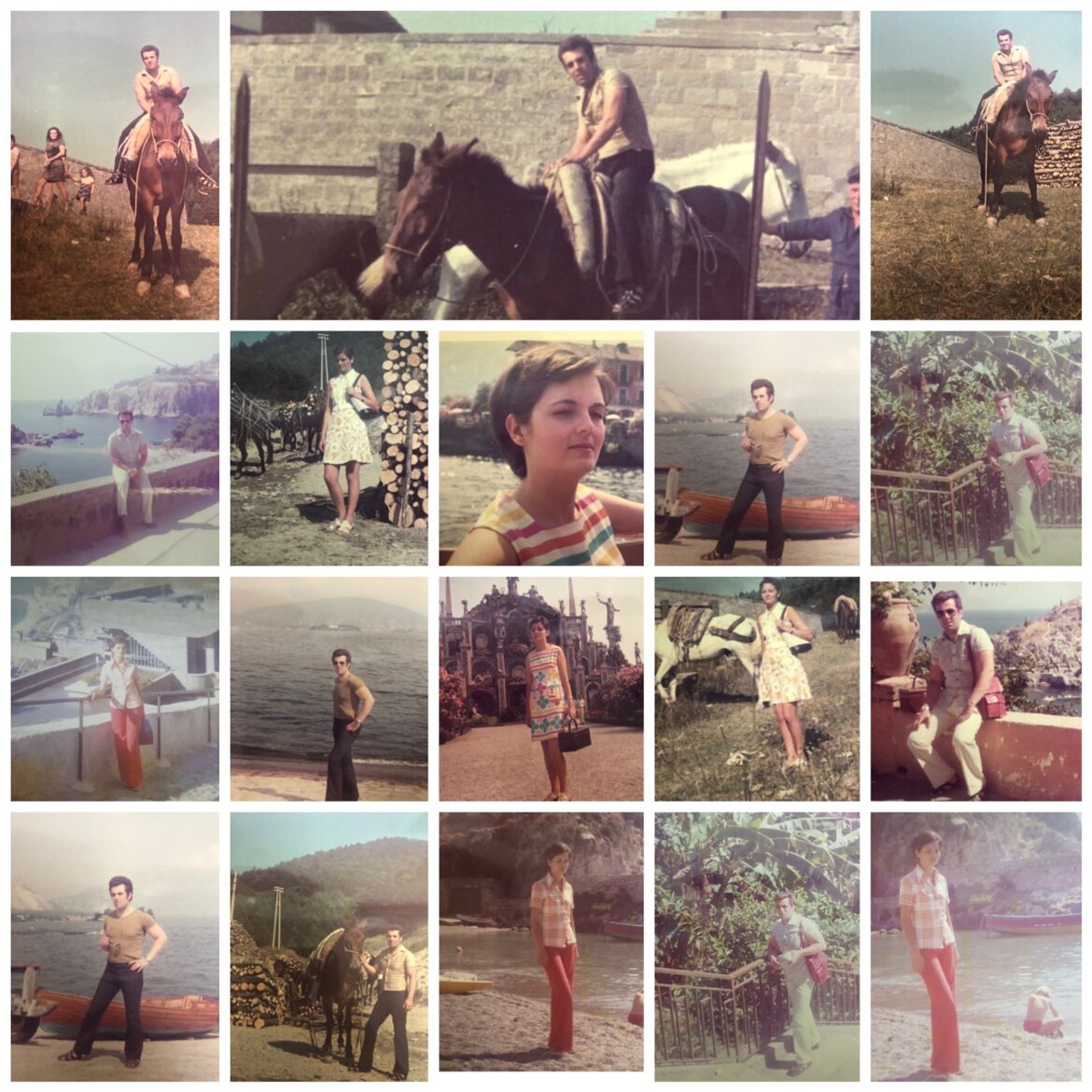 010fb077-4a8d-480f-836a-a83589268f0c 010fb077-4a8d-480f-836a-a83589268f0c