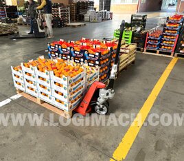 1c930335-7394-473f-9848-d3fafe6879ae