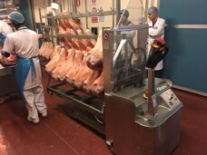 21e0d630-9bd2-48cd-9640-8033caafe4f2