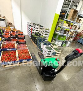 980c1b55-fc6d-4b82-b2c6-fe50caec88e6