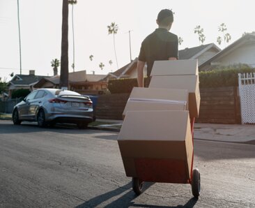 8c39bdfd-97cf-4597-89a3-7a81a42b69af