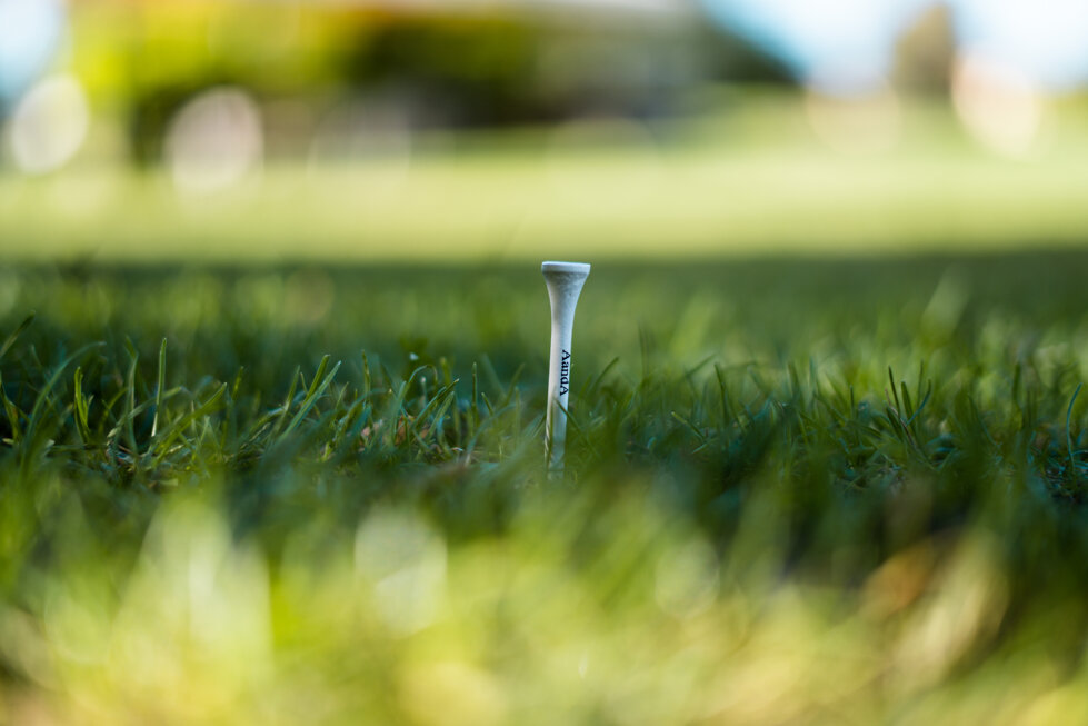 62d8e589-51d9-4fd4-9a85-75ba332630d7 62d8e589-51d9-4fd4-9a85-75ba332630d7