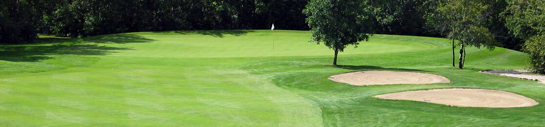 98ecf743-24cf-4369-9b4a-040e4086a7ea 98ecf743-24cf-4369-9b4a-040e4086a7ea