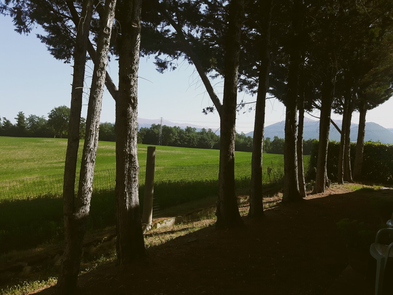 20180731_095806.jpeg 20180731_095806.jpeg