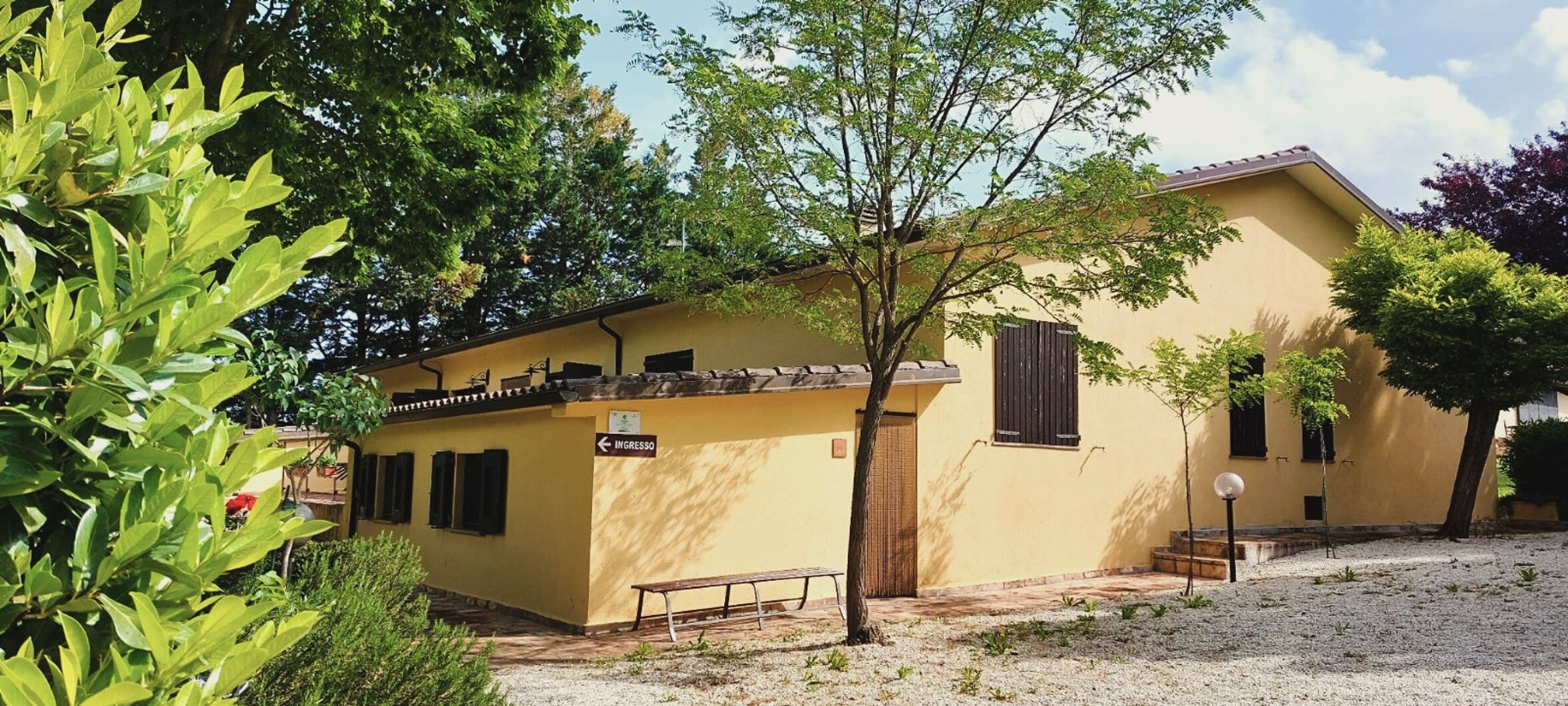 whatsapp image 2026-02-03 at 11.36.23 am.jpeg