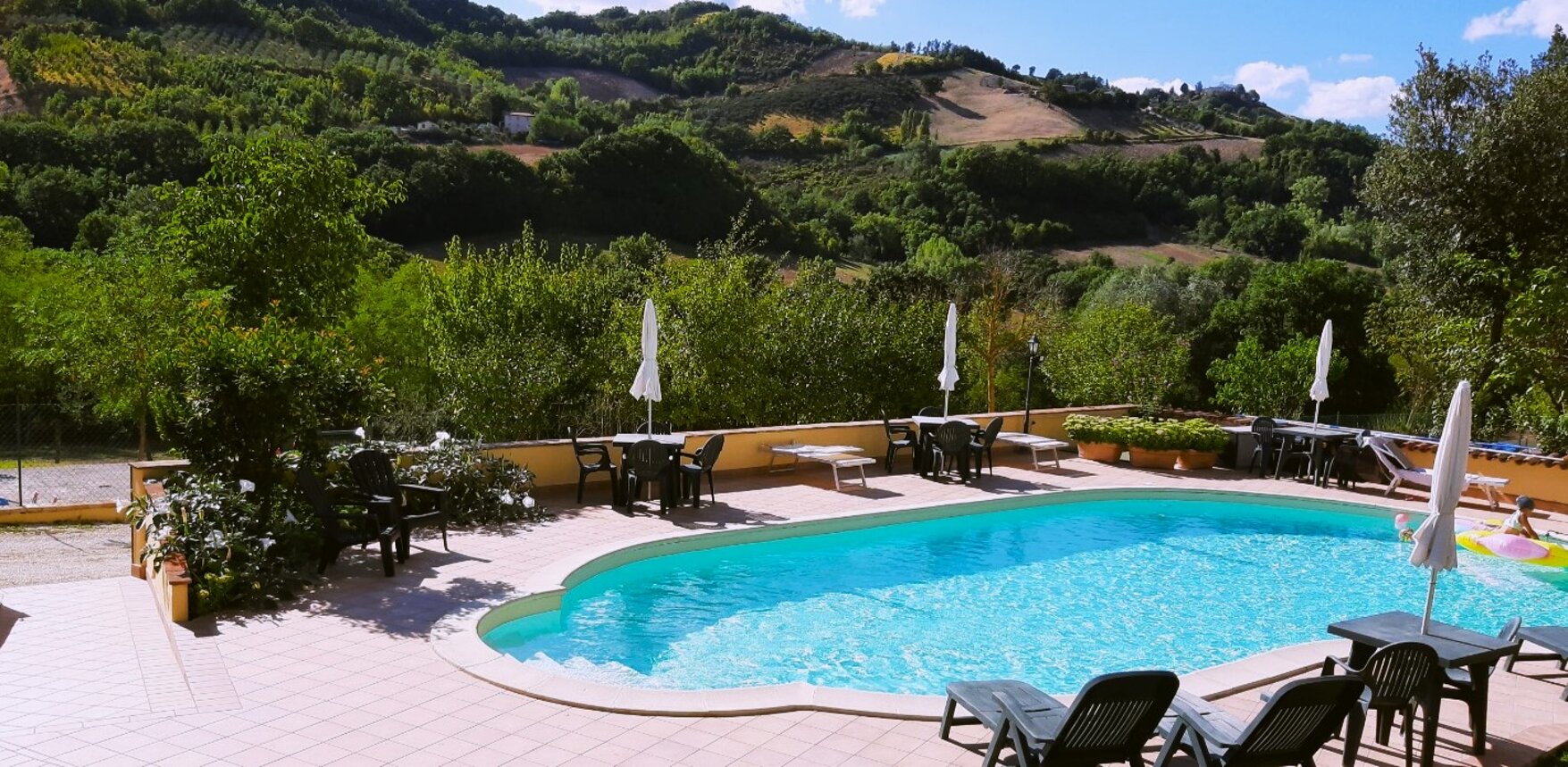 whatsapp image 2026-02-03 at 11.37.37 am.jpeg