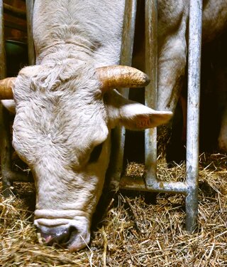 20180731_095812.jpeg 20180731_095812.jpeg