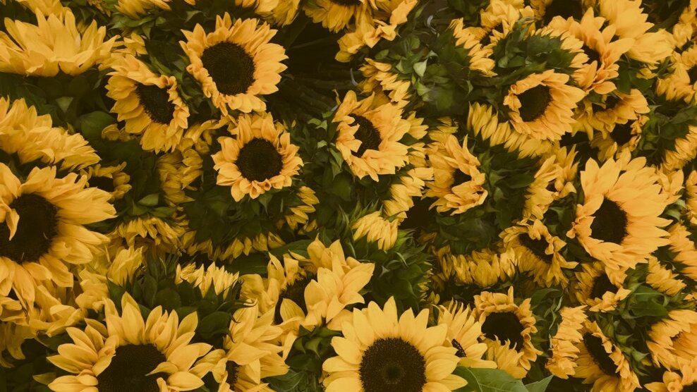 5399ae1f6ac067d8c069b0c2254d71c3.jpeg 5399ae1f6ac067d8c069b0c2254d71c3.jpeg