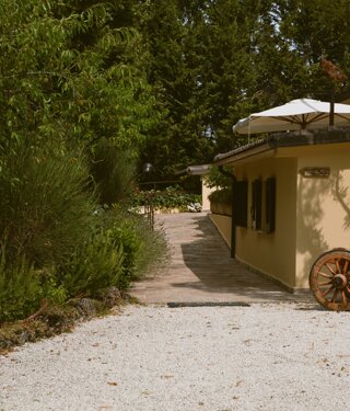 dsc_0179.jpeg dsc_0179.jpeg