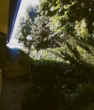 dsc_0169.jpeg dsc_0169.jpeg