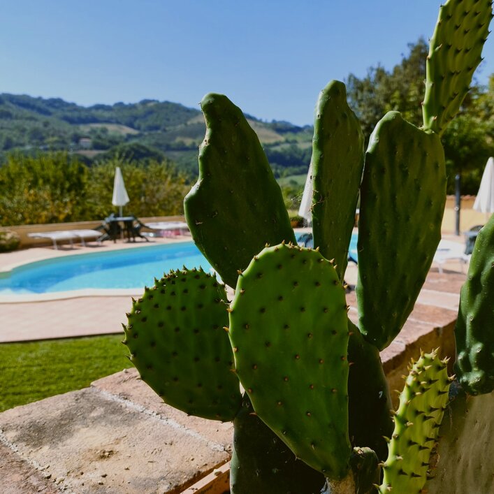 whatsapp image 2026-02-05 at 9.10.41 am.jpeg