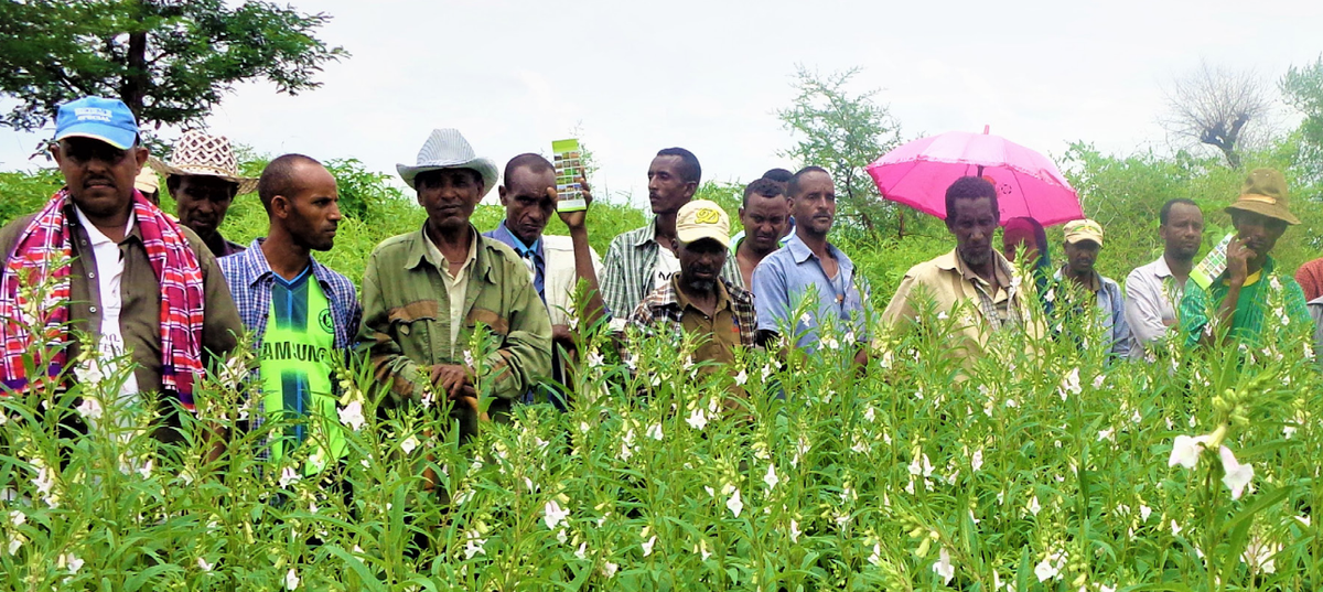 Eliminato il divieto di cessione dei prodotti tra retisti
