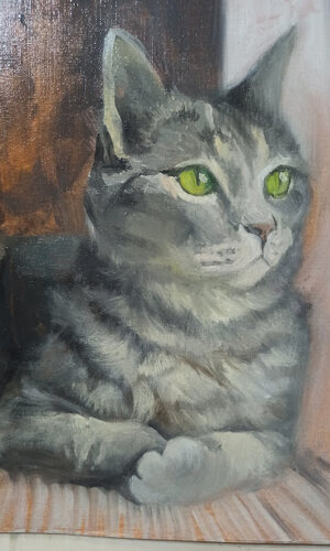 jene-stephaniuk--mcrf6hnoju-unsplash.jpeg jene-stephaniuk--mcrf6hnoju-unsplash.jpeg