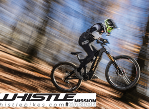 img_1082.jpeg img_1082.jpeg