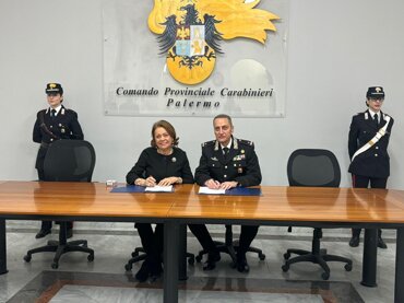 whatsapp image 2026-02-11 at 16.51.06.jpeg