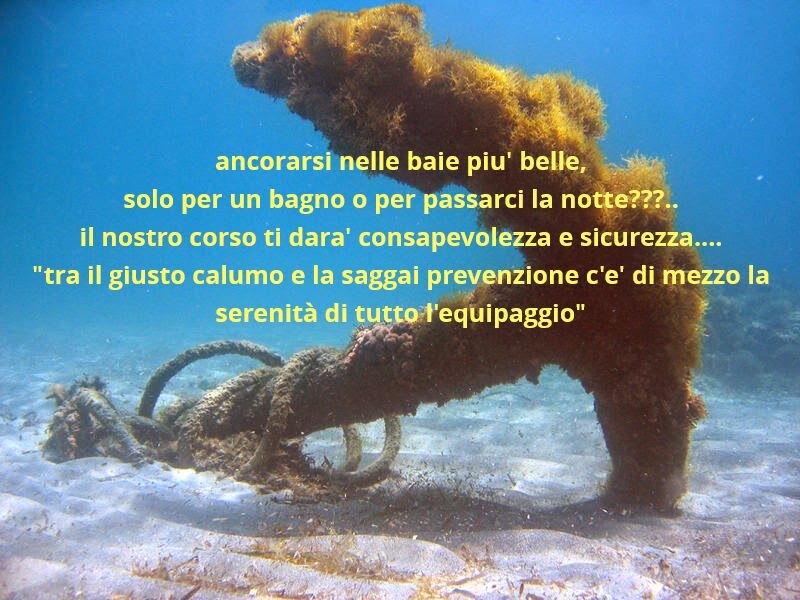 68a40702-2a98-4f21-a827-17838cf5cfee 68a40702-2a98-4f21-a827-17838cf5cfee
