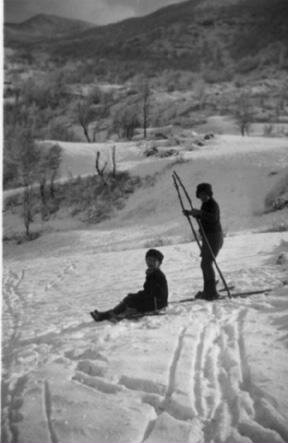 e1259f28-3c23-409b-aab1-db4bf27200e6