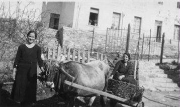 f4def496-5b4e-4d50-8d2a-3e2034279d0e