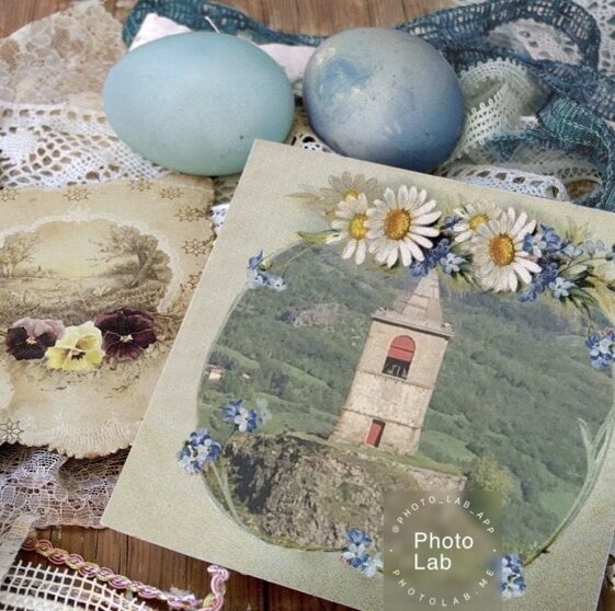 f880880c-7d4c-40a9-96e1-d11fe7c316e7