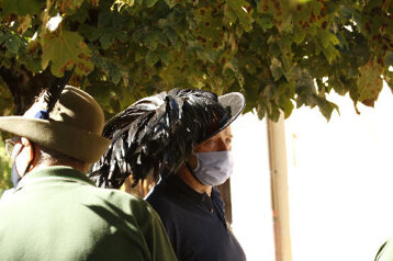 a3a8725a-bf30-4069-bfa2-b20993dc608e