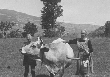 085c21c3-4e9f-4267-a601-6a474f2c684c