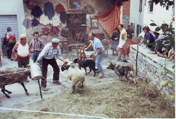 e684c3cd-1c21-43a7-8157-5adc186ac685