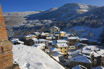 f4d37c10-411c-4ce5-9cb0-9eab30a666d2