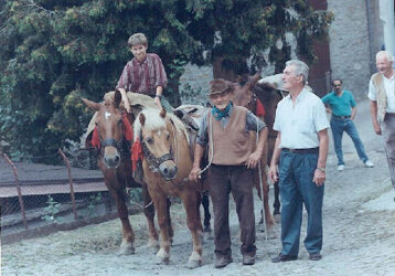 61f71992-4f1f-4583-99ca-902507468ef3