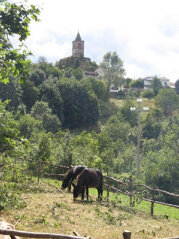 ebaa7991-5a2a-47d2-9256-78088155993a