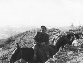 0aab73db-309c-4945-969f-d0192e8276ec