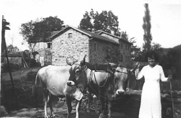 2d691dfa-7be9-4c8c-8c8a-fed206bba57a